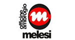 Melesi-150-80-Logo